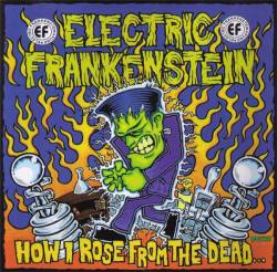 Electric Frankenstein : How I Rose From The Dead...